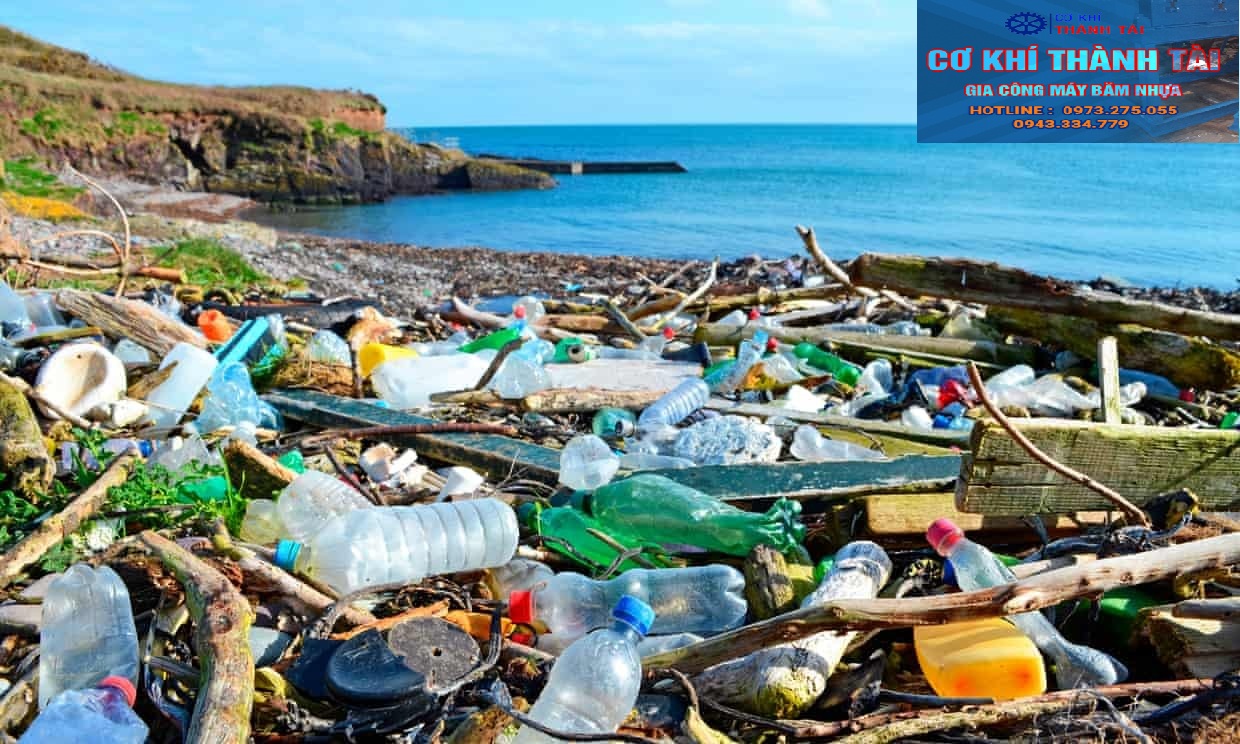 Tác hại của rác thải nhựa đối với môi trường, sinh vật và xã hội